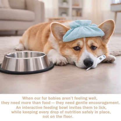 Slow Feeder Dog Bowl